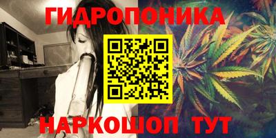 СК Сланцы
