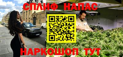 дурь Славгород