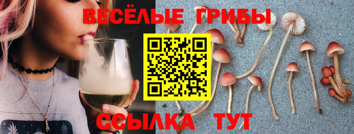 Галлюциногенные грибы GOLDEN TEACHER Прокопьевск