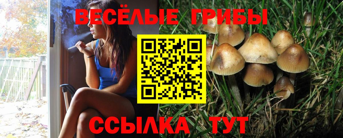Прокопьевск  Галлюциногенные грибы Magic Shrooms  Вход с VPN  Псилоцибиновые грибы Cubensis 